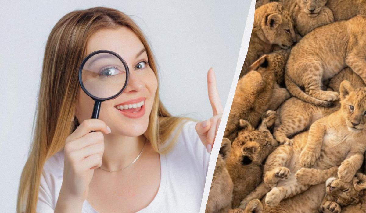 Μόνο το 3% των ανθρώπων βρίσκει γάτες ανάμεσα σε λιοντάρια σε 10 δευτερόλεπτα: μια εκπληκτική οπτική ψευδαίσθηση