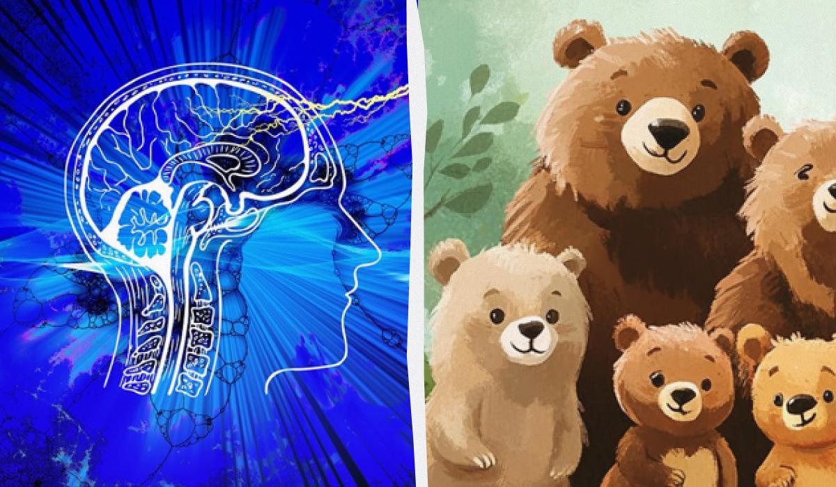 Βρίσκοντας μια ψεύτικη αρκούδα σε 5 δευτερόλεπτα: ένα πολύ απλό τεστ IQ