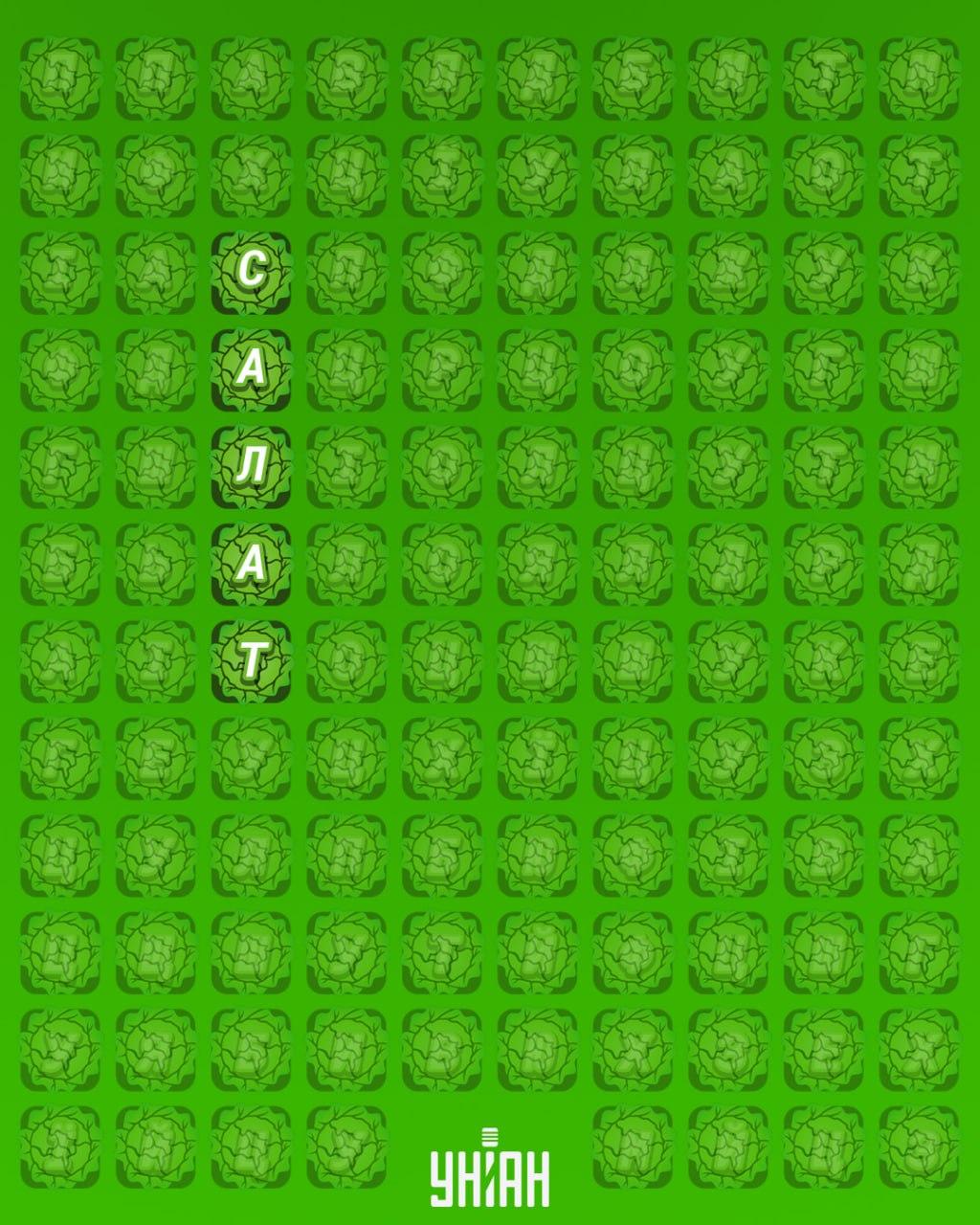 Το 98% των ανθρώπων δεν μπορεί να βρει τη λέξη 