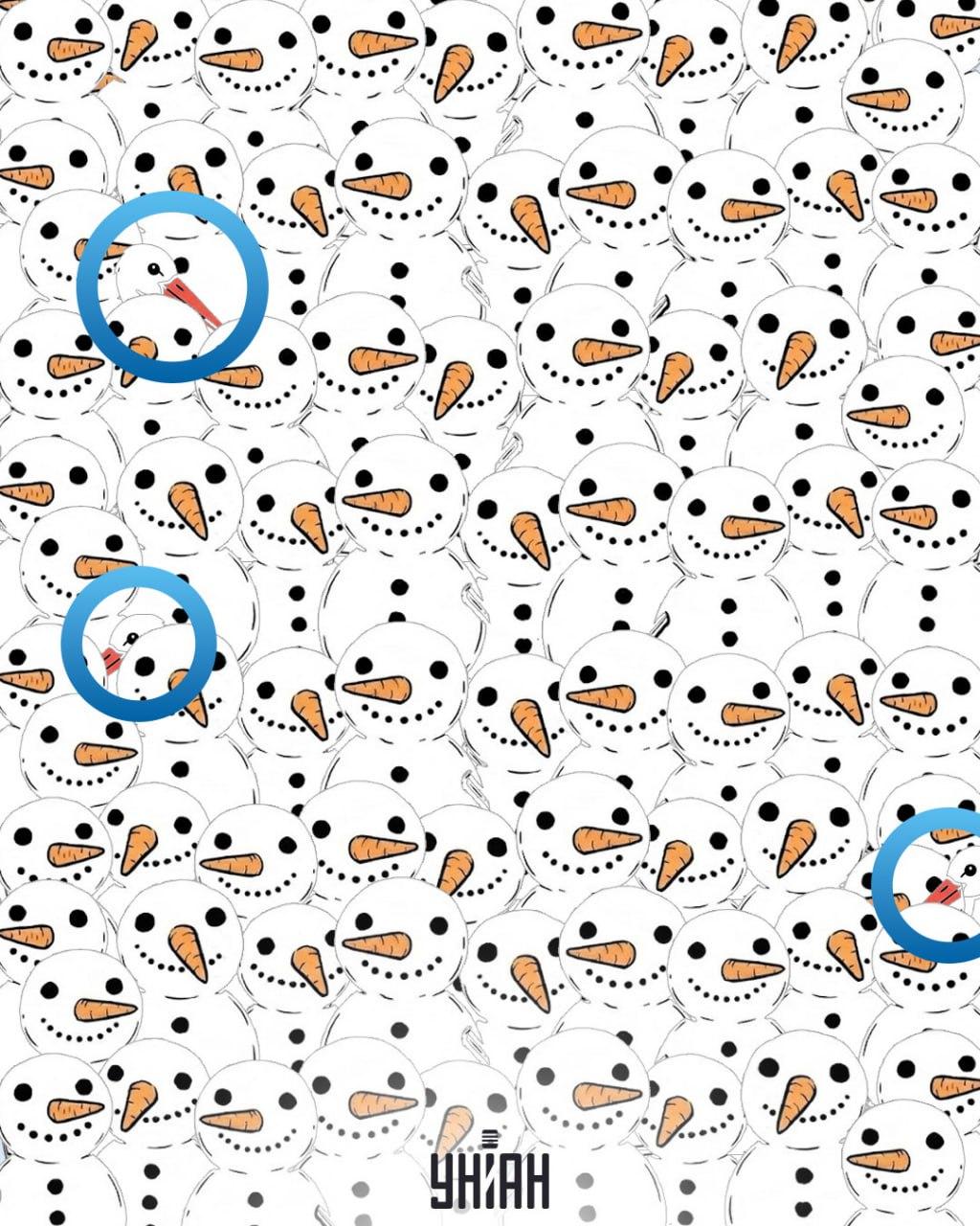 Βρείτε 3 πελαργούς ανάμεσα σε χιονάνθρωπους σε 11 δευτερόλεπτα: εκπληκτική οπτική ψευδαίσθηση