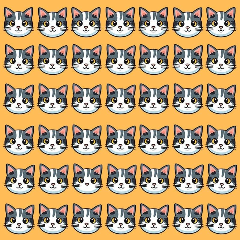 Αυτή η οπτική ψευδαίσθηση είναι δυνατή μόνο για άτομα με μεγαλειώδες IQ / εικόνα Moje